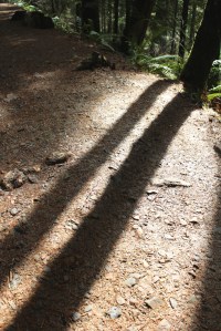 Eagle Creek Trail, Oregon. Lupa, 2013.
