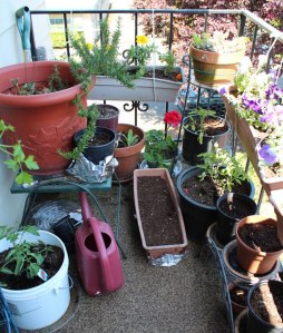 247649_10151641836983627_1881685848_n