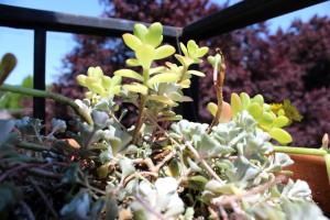 253251_10151641838228627_890722024_n