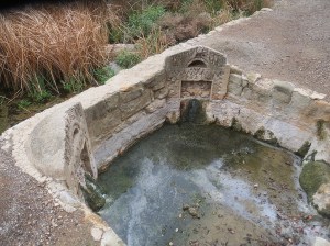Mineral spring grotto at Alum Rock Park, San Jose, CA. By Lupa, 2014.
